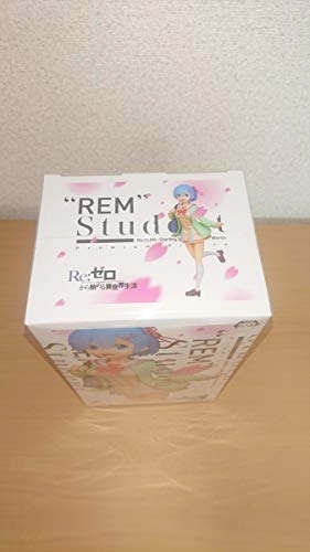 Rem - Re:Zero -Starting Life in Another World (21.84 cm) (00030007)