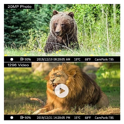 Wildlife Camera - 20MP