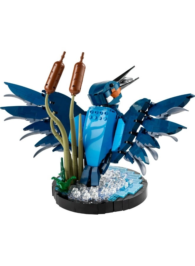 Icons Kingfisher Bird (10331)