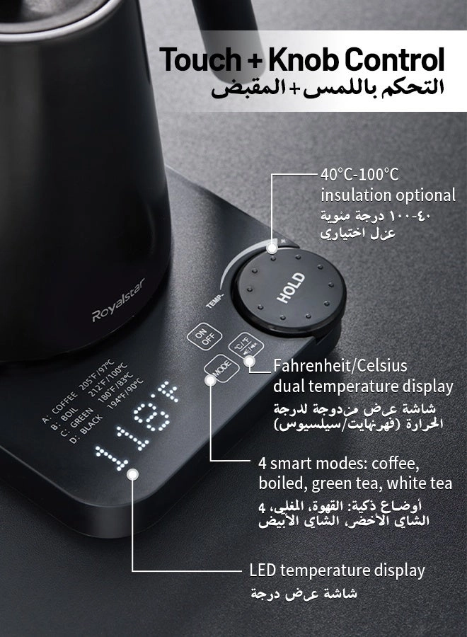 Temperature Control Gooseneck Electric Kettle