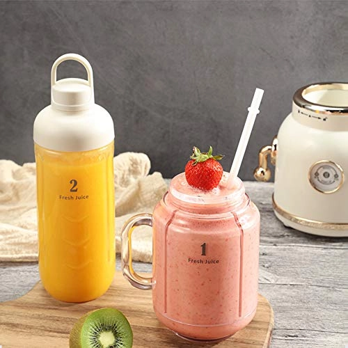 Retro Fruit Juicer Blender - 300W
