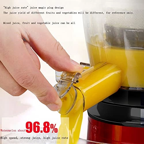 Wide Chute Slow Masticating Juicer Extractor - 250 watts 500 Milliliters
