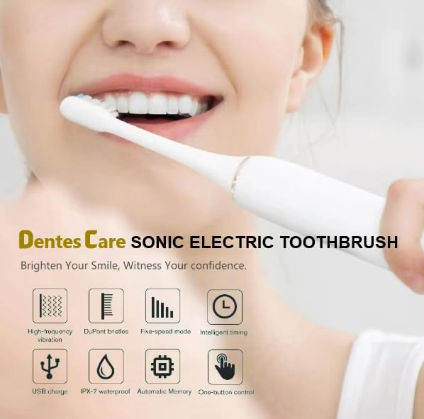 ETBX3 - Sonic 42000 Strokes per minute 4 Brush Heads