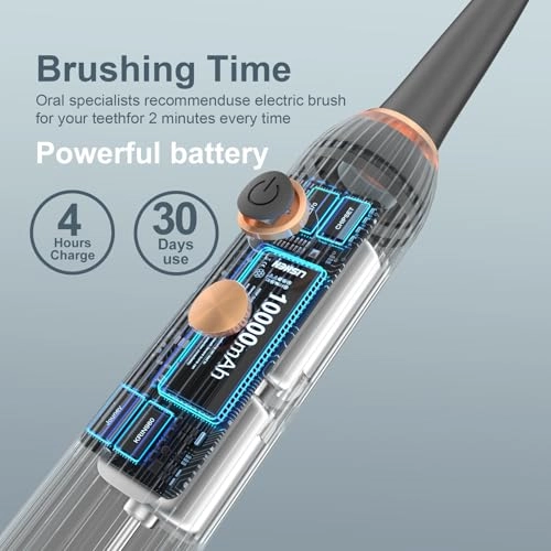 Electric Toothbrush Set - UV Light Drying Holder 8 Brush Heads USB Rechargeable