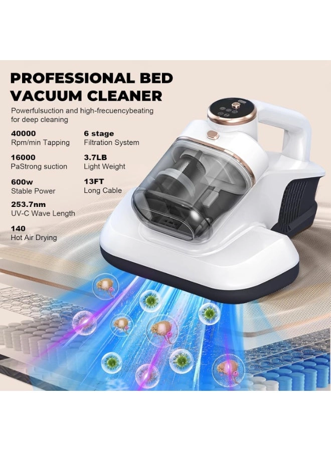 Dust Mite Vacuum (HB-802)