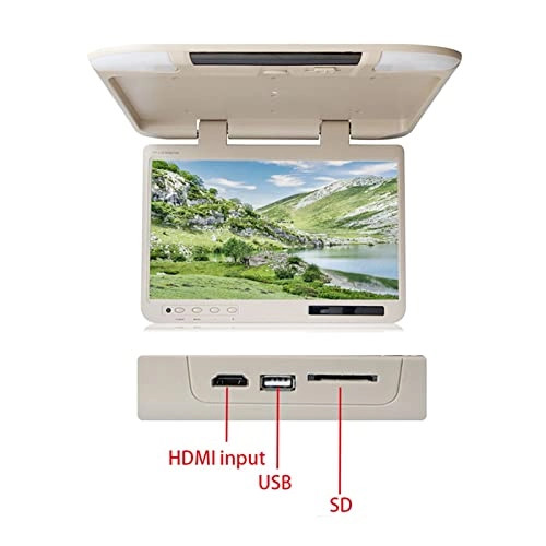 Car Headrest Video Players - 19 Inch