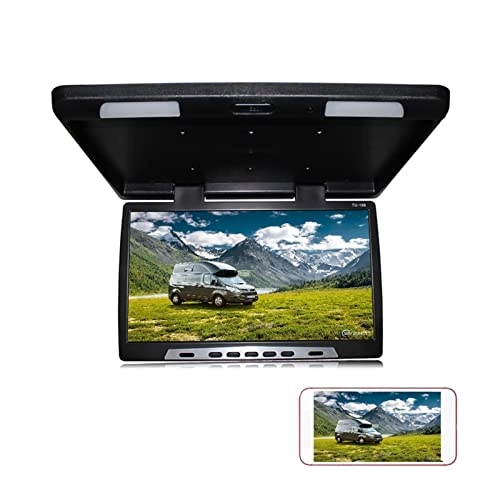 Car Ceiling Display - 19 Inch