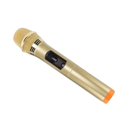 2.4G Dynamic Wireless Microphone Wireless+USB Microphone