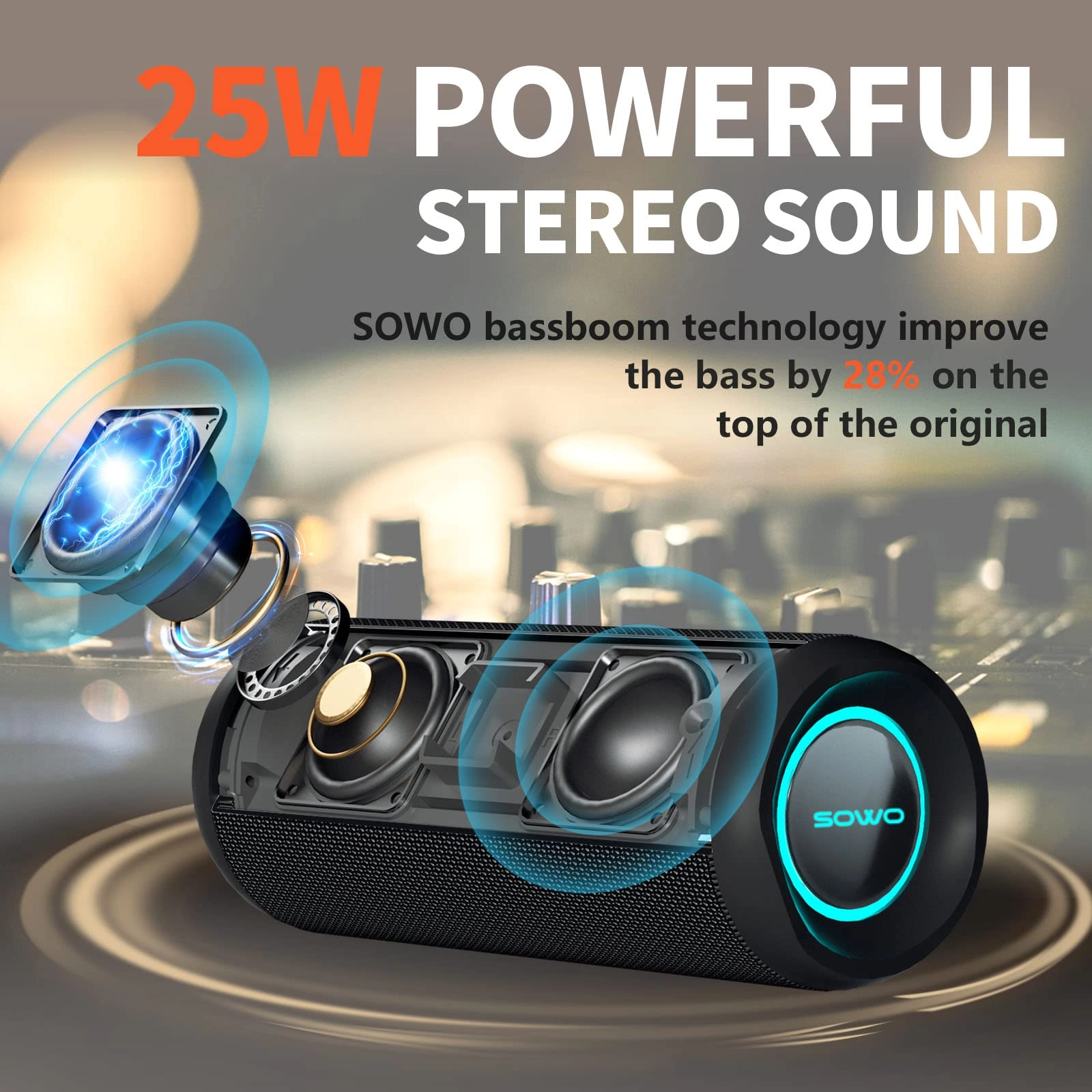 Wireless Portable Speaker - 25W