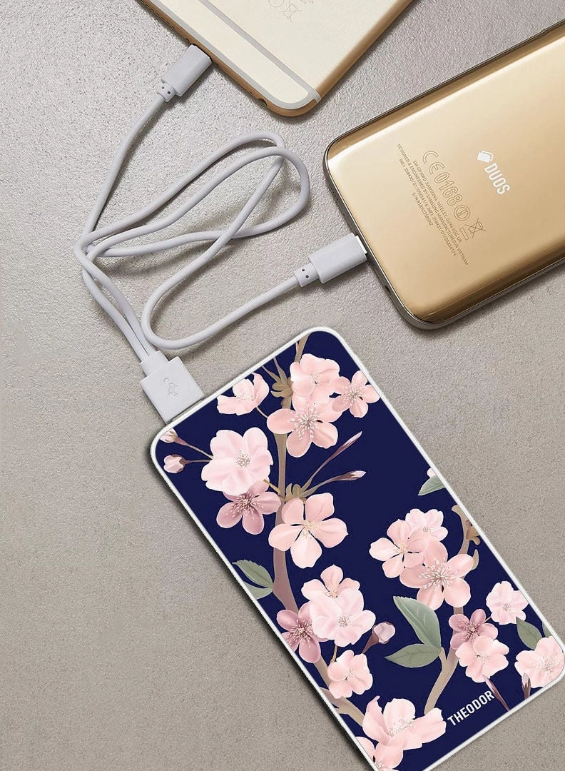 EX_PPBA439 - 10000 mAh 18W