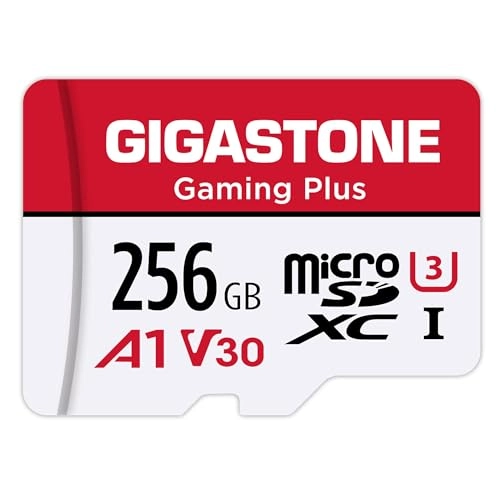 Gigastone Gaming Plus - 256GB