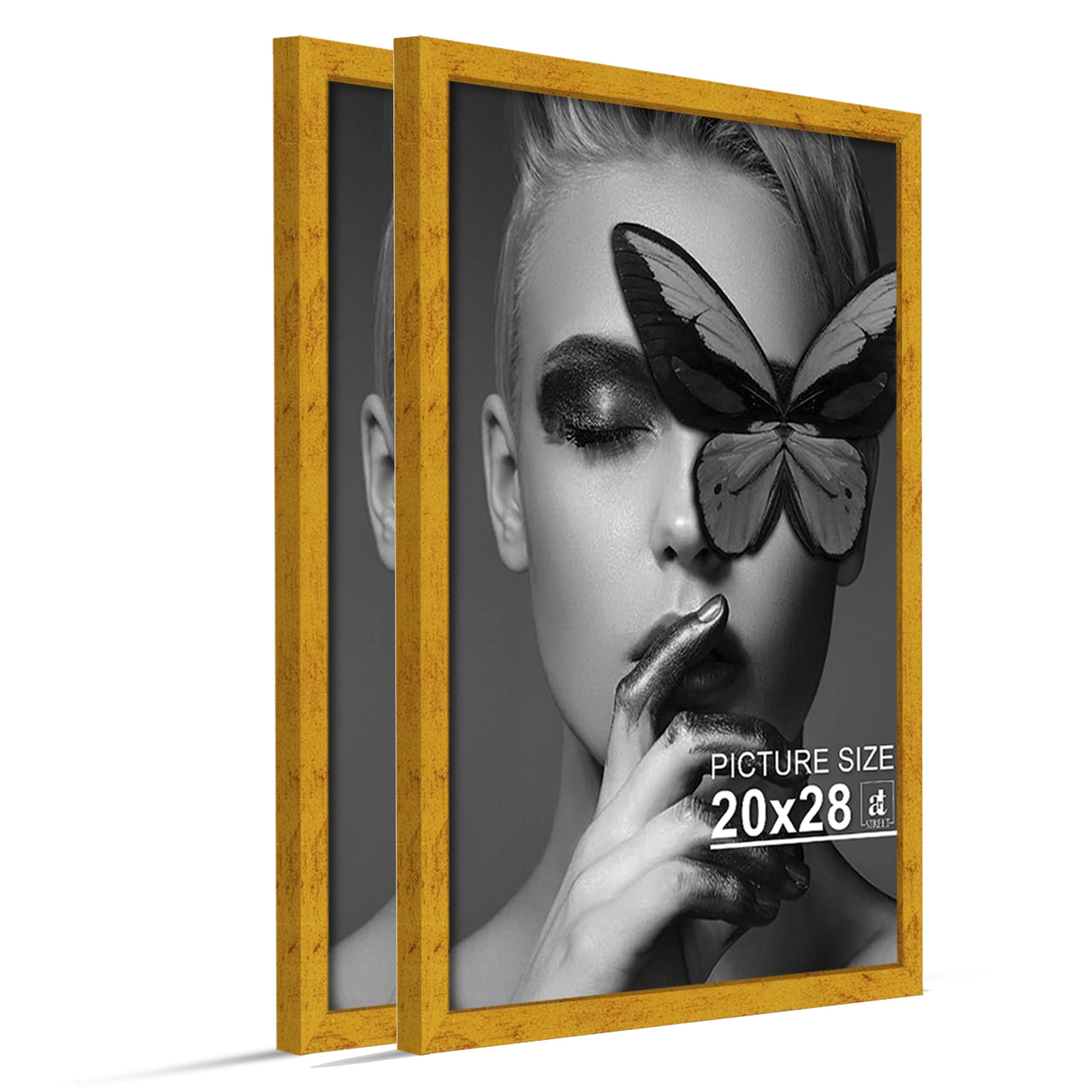 Document Frame - 20x28 Inch