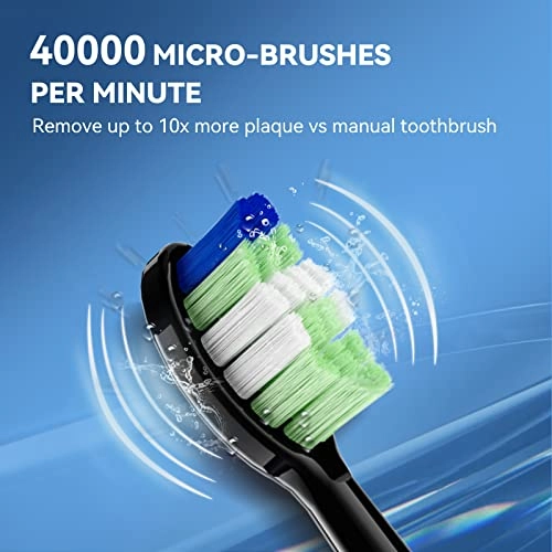 P200 - 6 Brush Heads Travel Case 60 Days