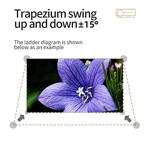 7467834 2500ANSI Lumen