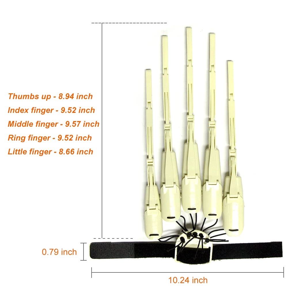 Articulated Finger Extensions - 1.00 Count All Ages One Size