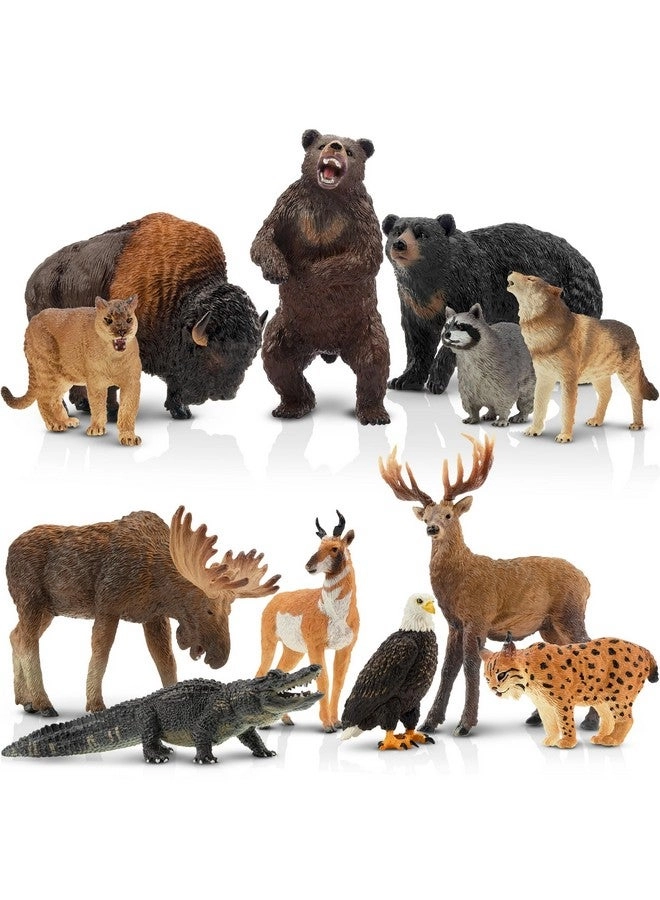 TOYMANY North American Forest Animal Figurines - Raccoon Lynx Wolf Bear Eagle 12PCS