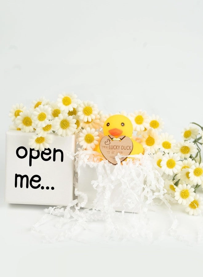 Lucky Duck - Mini Rubber Gift Set
