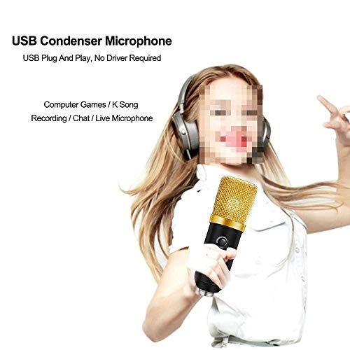 Omni-Directional Condenser 3.5mm-Mini-Jack+USB Microphone
