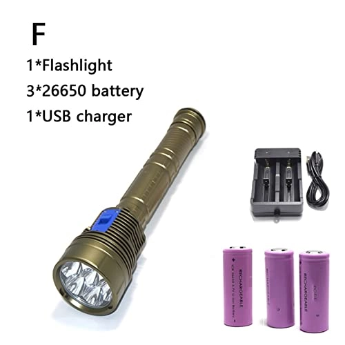 Professional Submersible Light