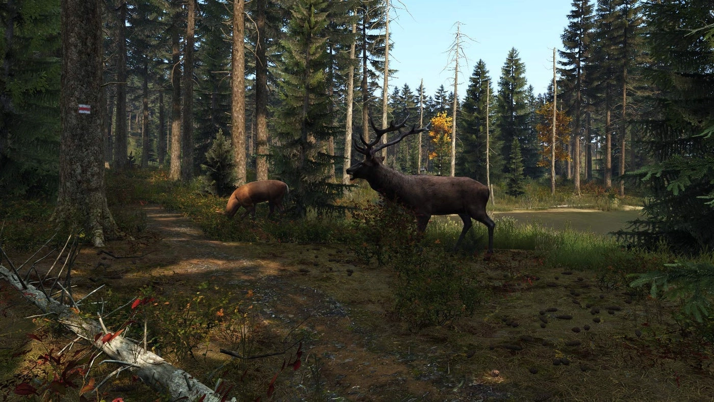 DayZ | PS4