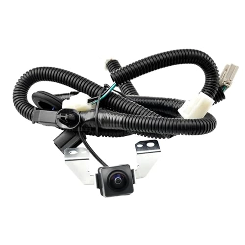 39530SZAA01M1 - Night vision