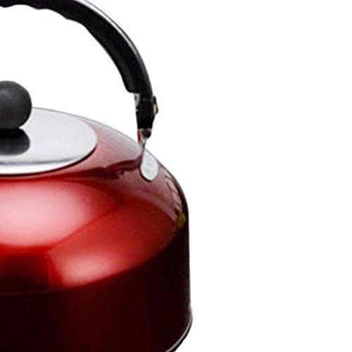 Stovetop Induction Whistling Kettle - 5L
