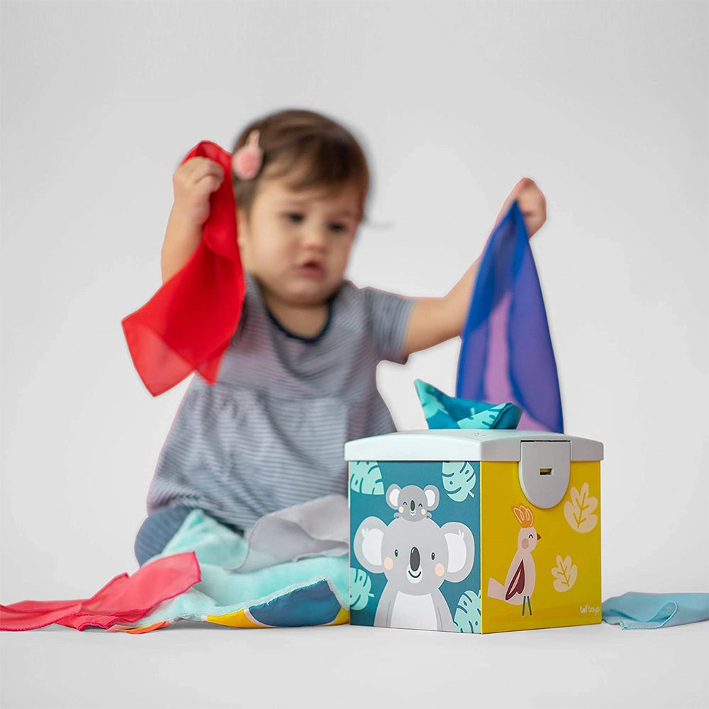 Kimmy Koala Wonder Tissue Box - 9 months