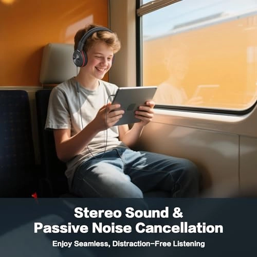 SM-904 Wired Headphone