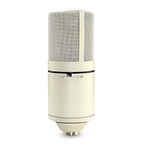 770 XLR Microphone