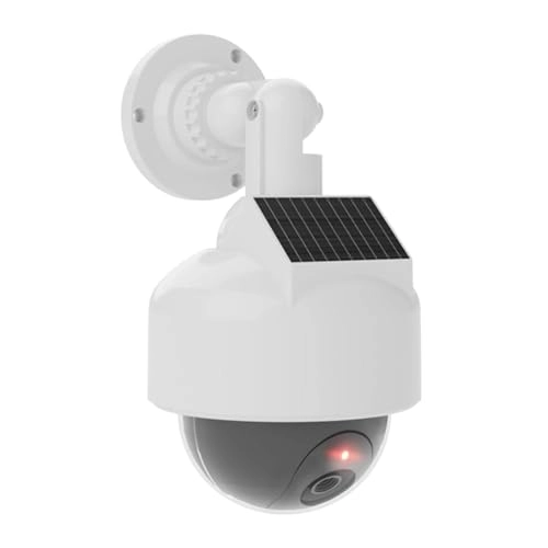 Fake Dome Camera - outdoor