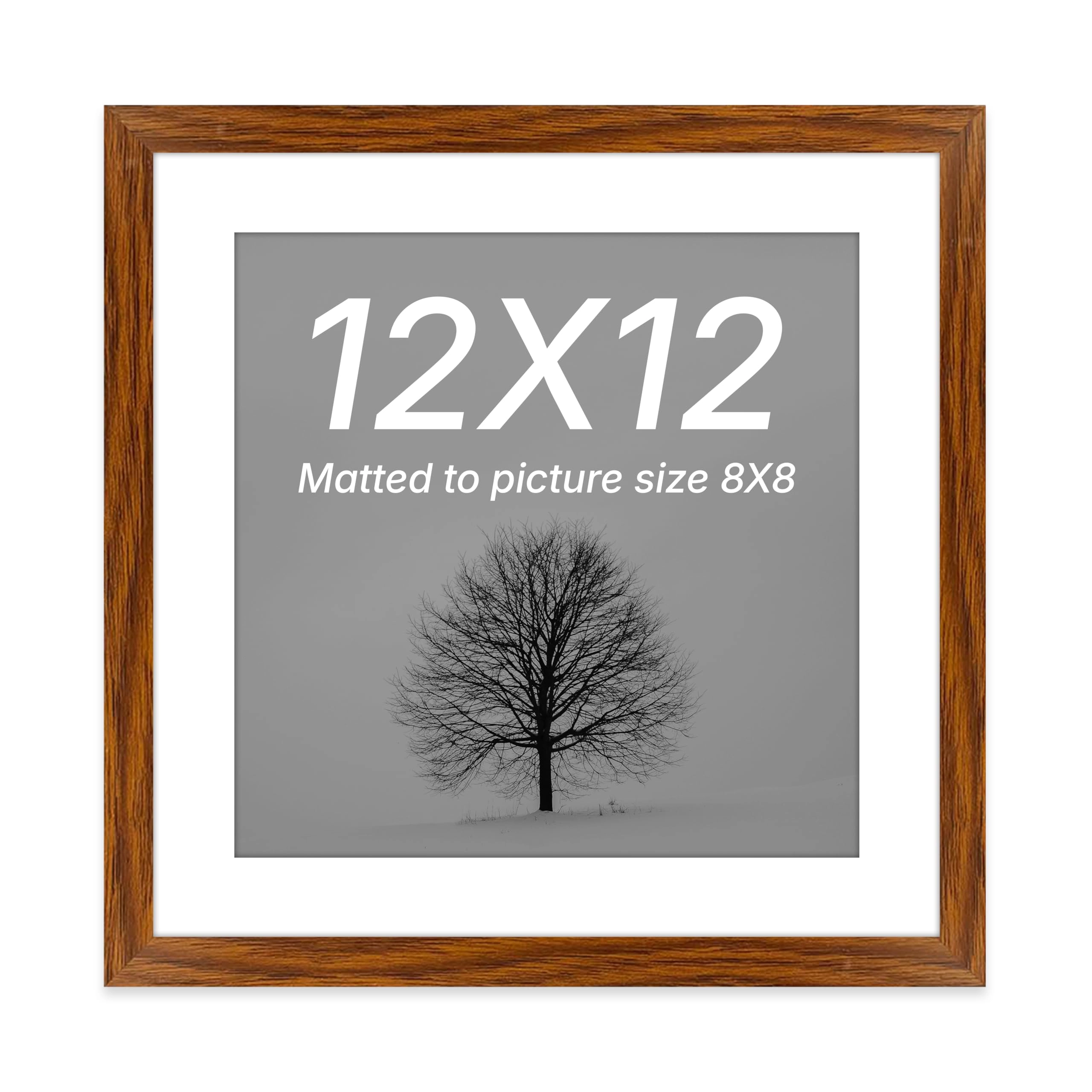 Document Frame - 12x12 Inch 1