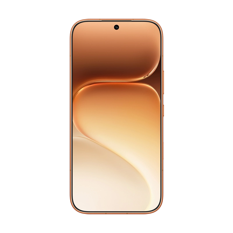 600 pro 12GB 512GB