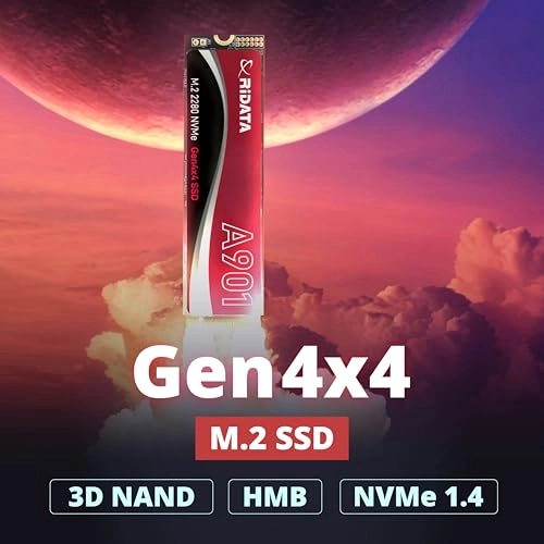 A901 - 500 GB M.2 2280