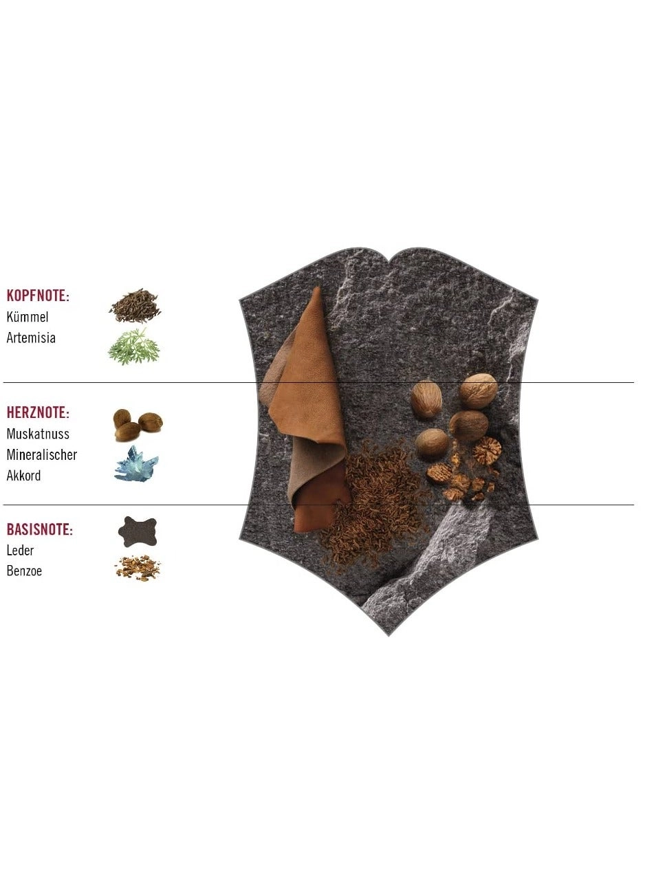 Rock Eau de Toilette 100 ml