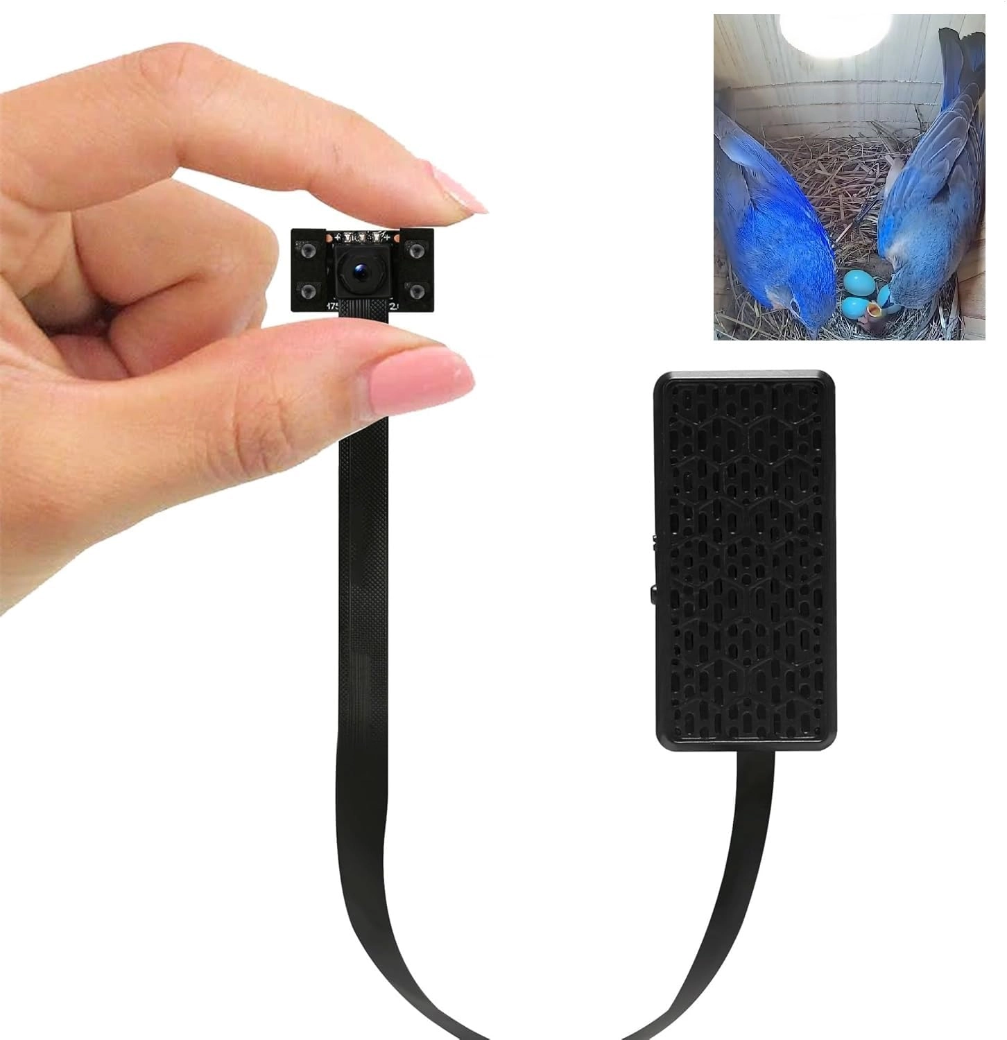 WIWACAM Bird Box Camera 2K