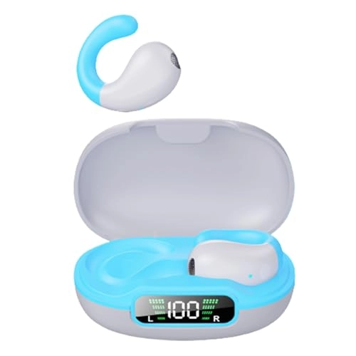 Pulse DT3.0 Wireless Earbud