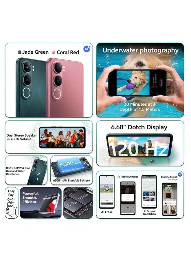Y31 - 12GB 256GB