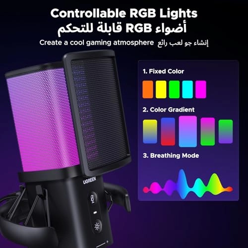 65629 USB Microphone