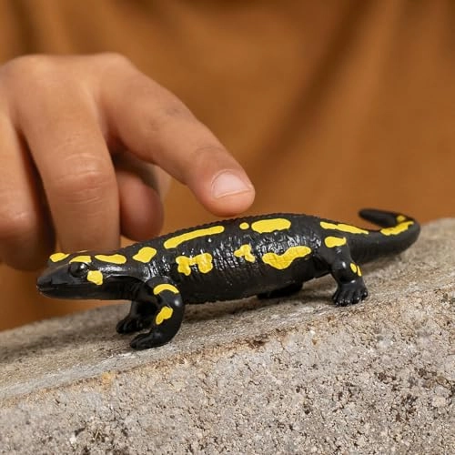 Fire Salamander - 4+