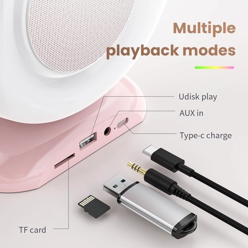 Portable Karaoke Machine - 2 Wireless Microphones