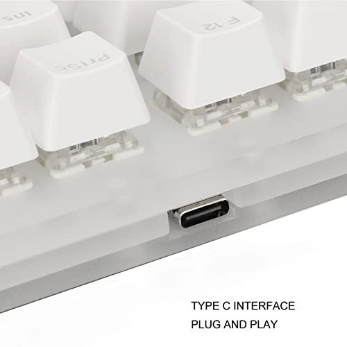 GRUObxvho7awdf-14 - Wired