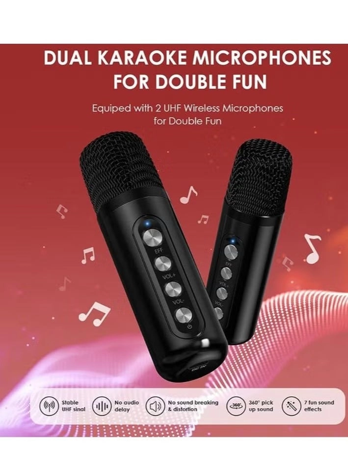 YS307 - 2 Microphones