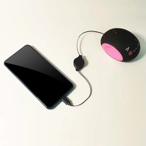 Retractable Type C - APGLSXY Ergonomic Adjustable Length