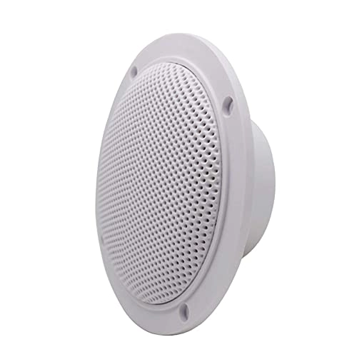 Outdoor Wireless Speaker - 4 Inch 160W