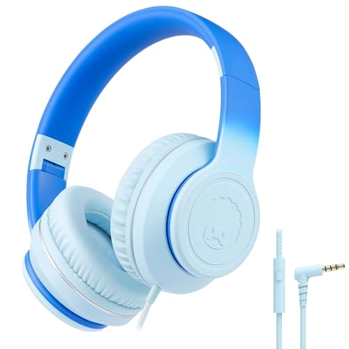 L22 Wired Headphone