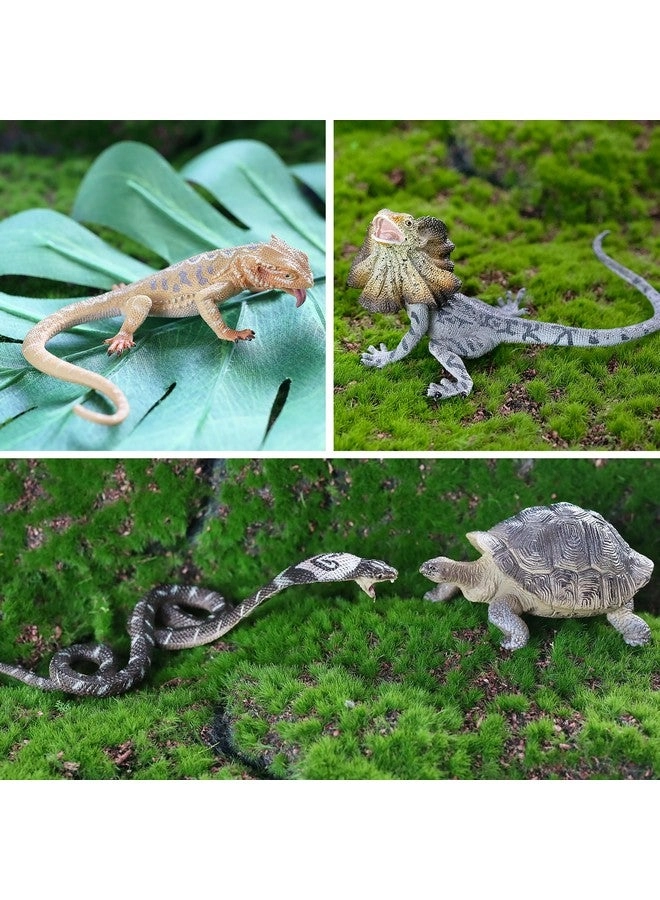 Reptile Animal Figurine Toys Set - Desert Amphibians 12 pcs
