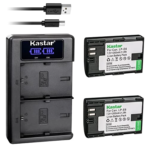 LP-E6 - 2950mAh + LKD2 USB Charger - LCD Dual