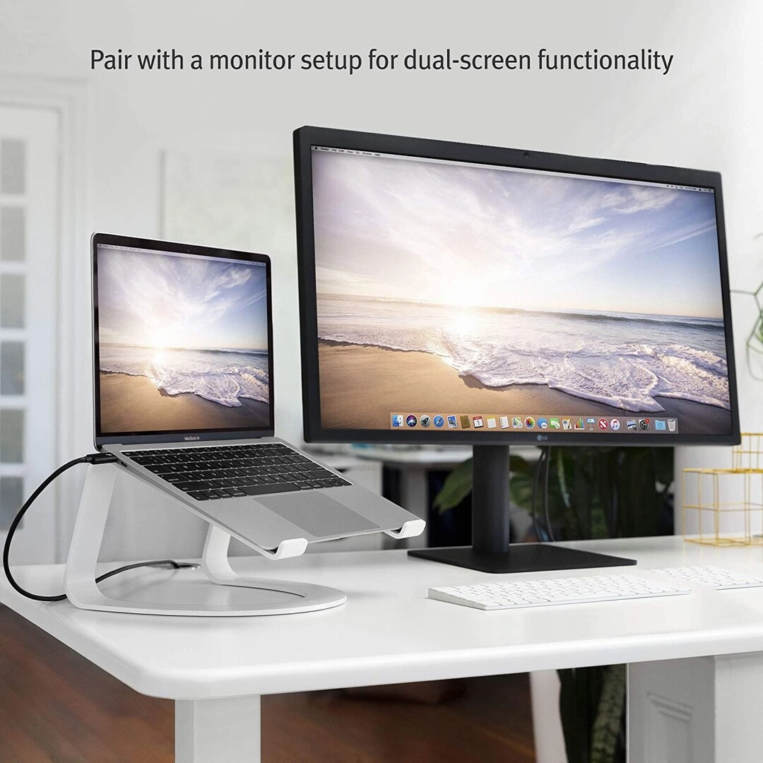 Curve Desktop Stand