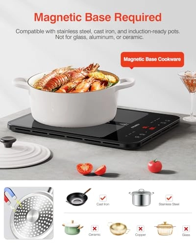 DL01 Induction hob