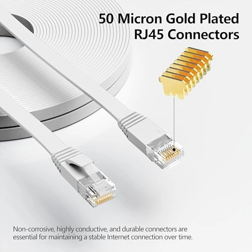 Cat 6 Ethernet Cable - 100 ft